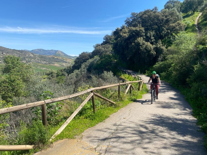 From Ronda: Via Verde de la Sierra Easy Cycling Tour - Is $117 good value from Ronda?