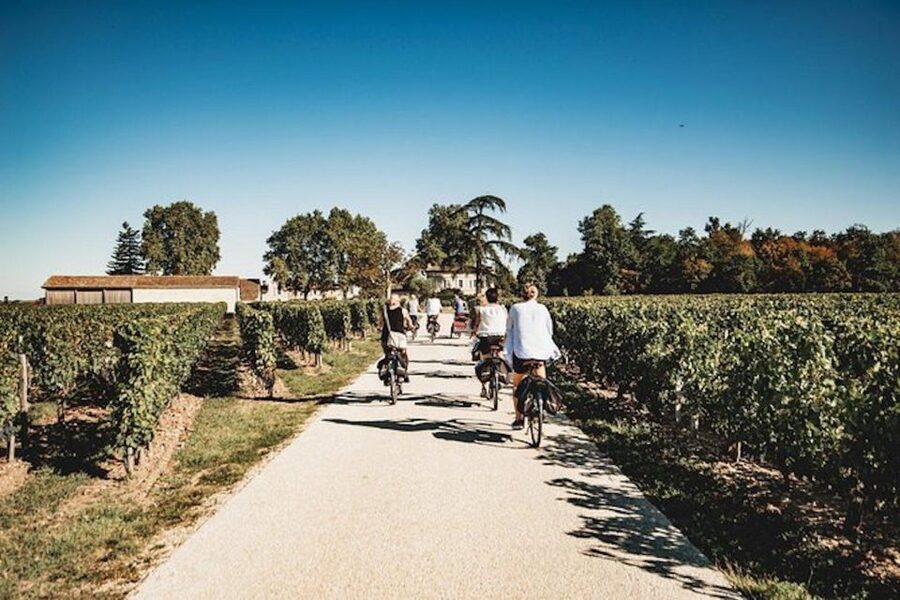 From Saint-Emilion : Half Day Electric Bike Tour - Why the electric bike makes sense here