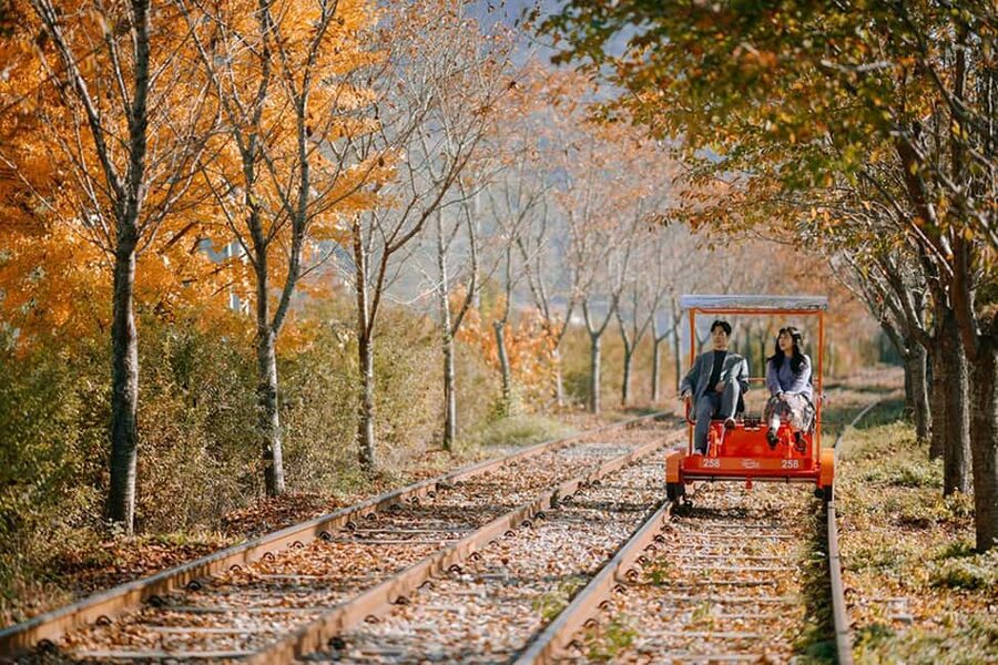 From Seoul: Nami Island, K-drama Garden & Rail Bike Day Tour - Five things to know before you book