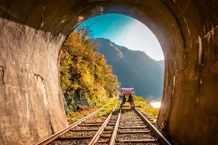 From Seoul: Nami Island, K-drama Garden & Rail Bike Day Tour - Why this day trip works from Seoul