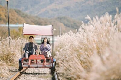 Nami Island, K-drama Garden & Rail Bike Day Tour