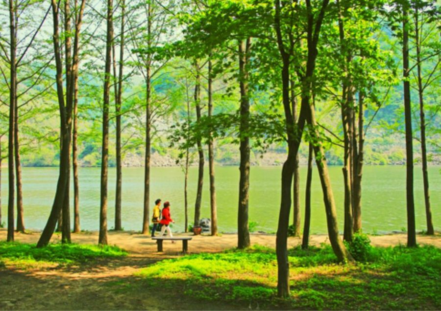 From Seoul: Nami Island, K-drama Garden & Rail Bike Day Tour - Winter changes the mood and the order