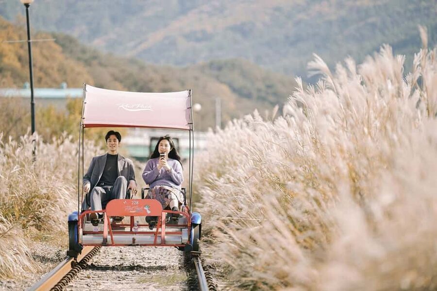 From Seoul: Nami Island, K-drama Garden & Rail Bike Day Tour - Morning arrival at the Garden of Morning Calm