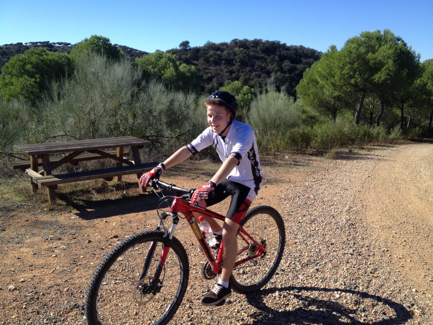 From Seville: Half-Day Guided Bike Trip to Italica - Who should book this bike trip