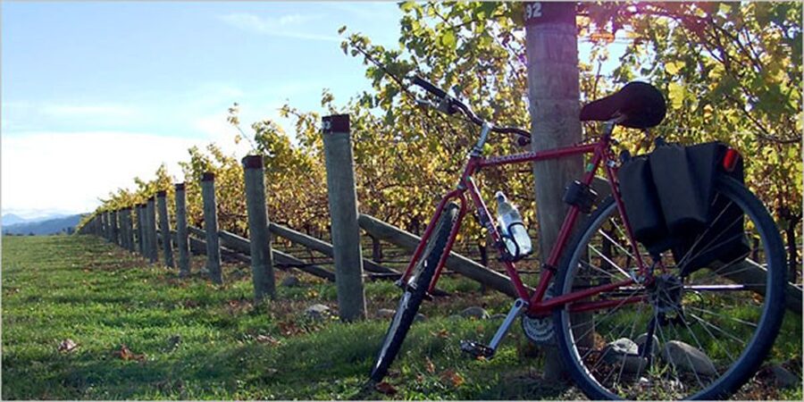 From Siena: Chianti Countryside E-Bike Tour w/ Lunch & Wine - Key points to know before you book