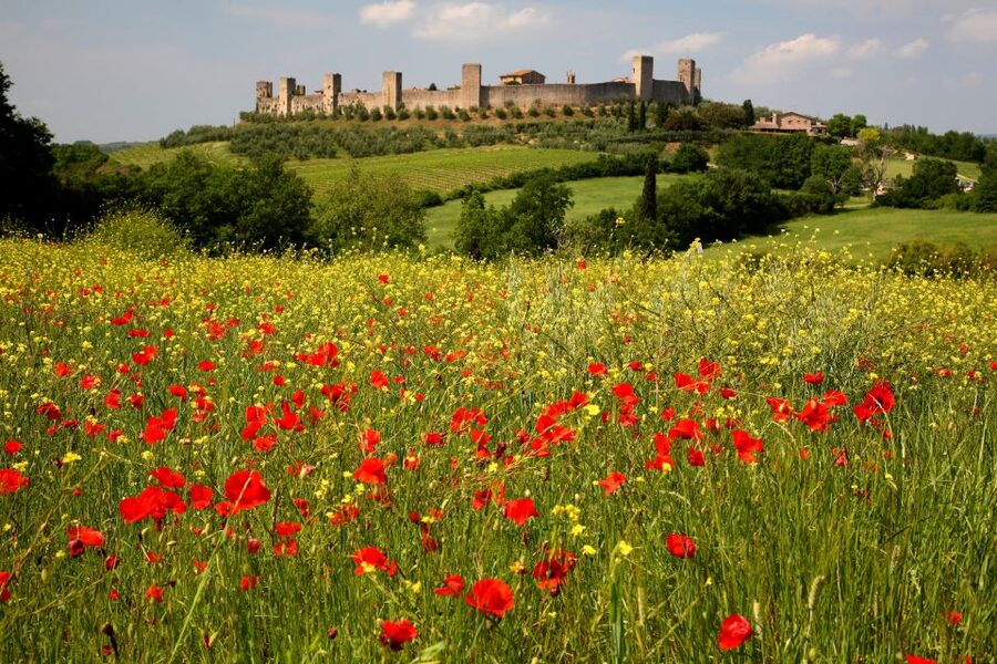 From Siena: Chianti Countryside E-Bike Tour w/ Lunch & Wine - Starting beside Siena train station