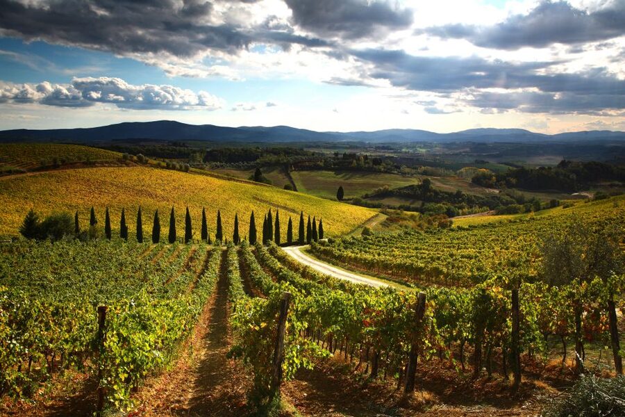From Siena: Chianti Countryside E-Bike Tour w/ Lunch & Wine - Lunch at a local farm with wine