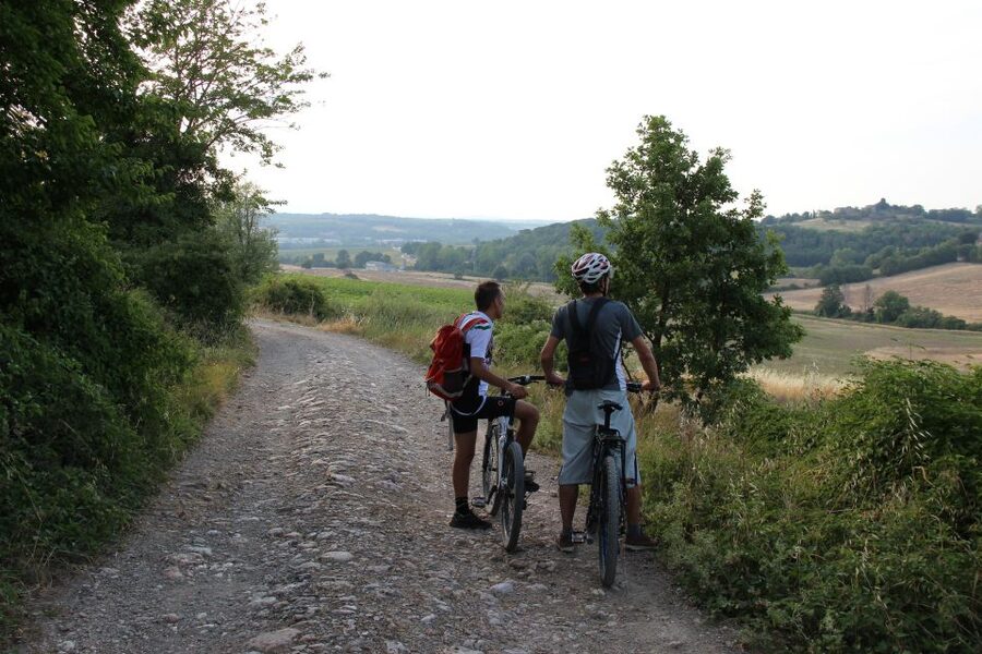 From Siena: Chianti Countryside E-Bike Tour w/ Lunch & Wine - The final ride back to Siena