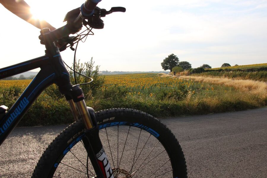 From Siena: Chianti Countryside E-Bike Tour w/ Lunch & Wine - What the $203.91 price includes