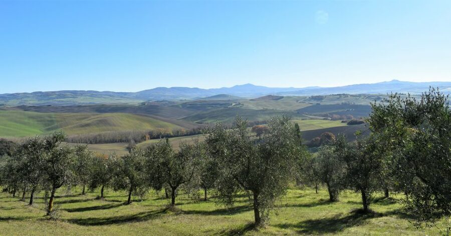 From Siena: Chianti Countryside E-Bike Tour w/ Lunch & Wine - Who will enjoy this tour most?