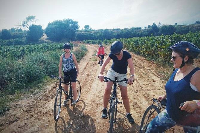 From Sitges: Bike Tour and Winery Visit with Free Hotel Pick Up. - Two hours at Caves Romagosa Torne