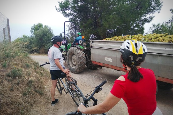 From Sitges: Bike Tour and Winery Visit with Free Hotel Pick Up. - What the $111.26 price really buys