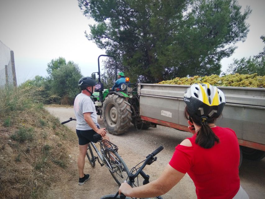 From Sitges: Cycling Tour with Winery visit and Tasting - Alex makes the difference