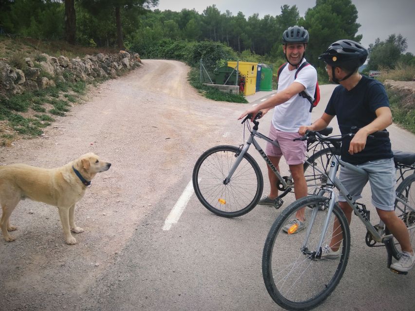 From Sitges: Cycling Tour with Winery visit and Tasting - The timing: five hours from door to door
