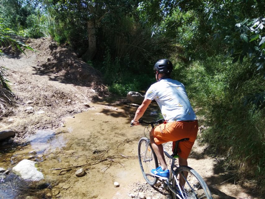 From Sitges: Paella Masterclass, Bike Ride and Winery Visit - Inside a winery with nine generations of family stories