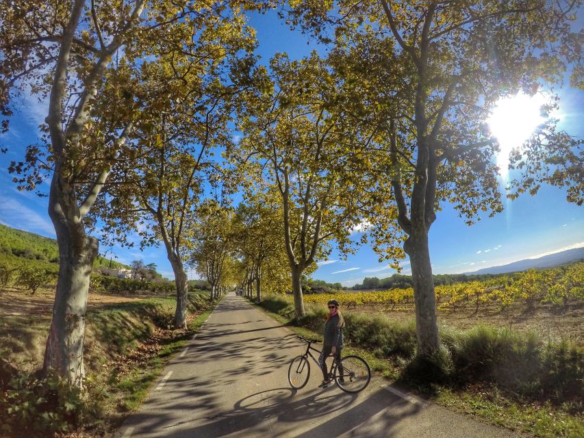 From Sitges: Paella Masterclass, Bike Ride and Winery Visit - Who should book this experience