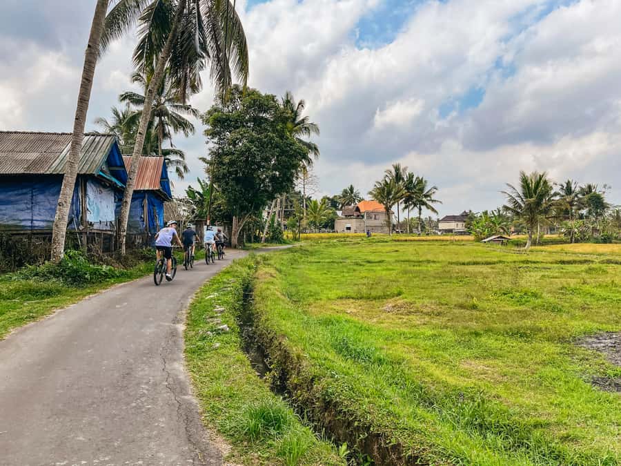 From Ubud: Downhill Bike Tour with Rice Terraces and Meal - Key Details Before You Book