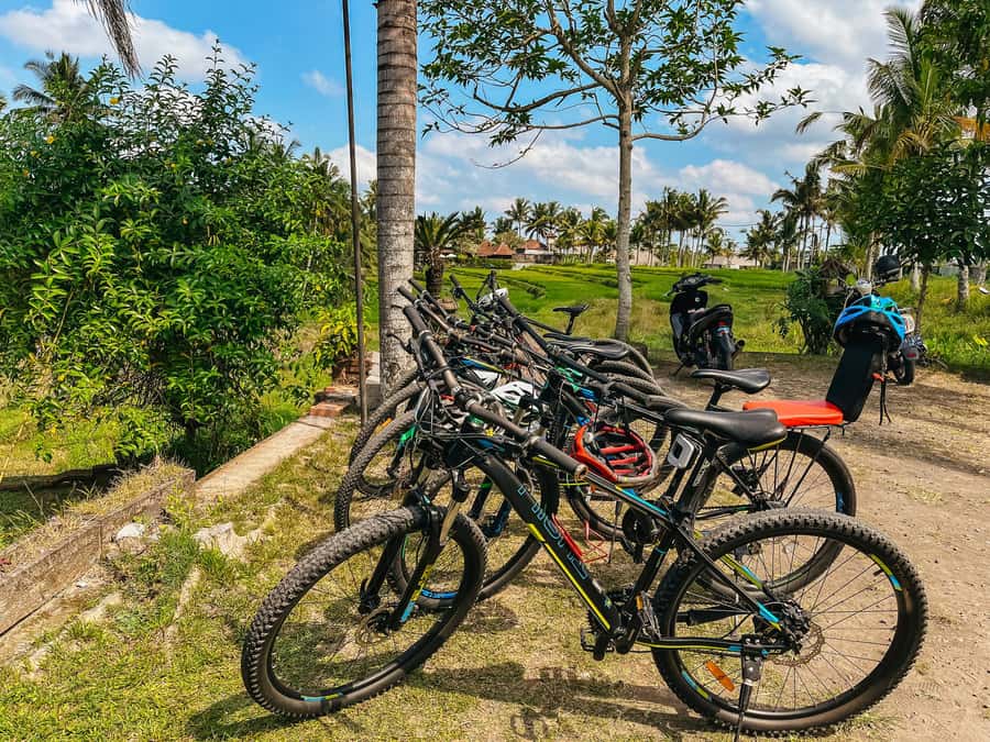 From Ubud: Downhill Bike Tour with Rice Terraces and Meal - The 23-Kilometer Descent Through Villages
