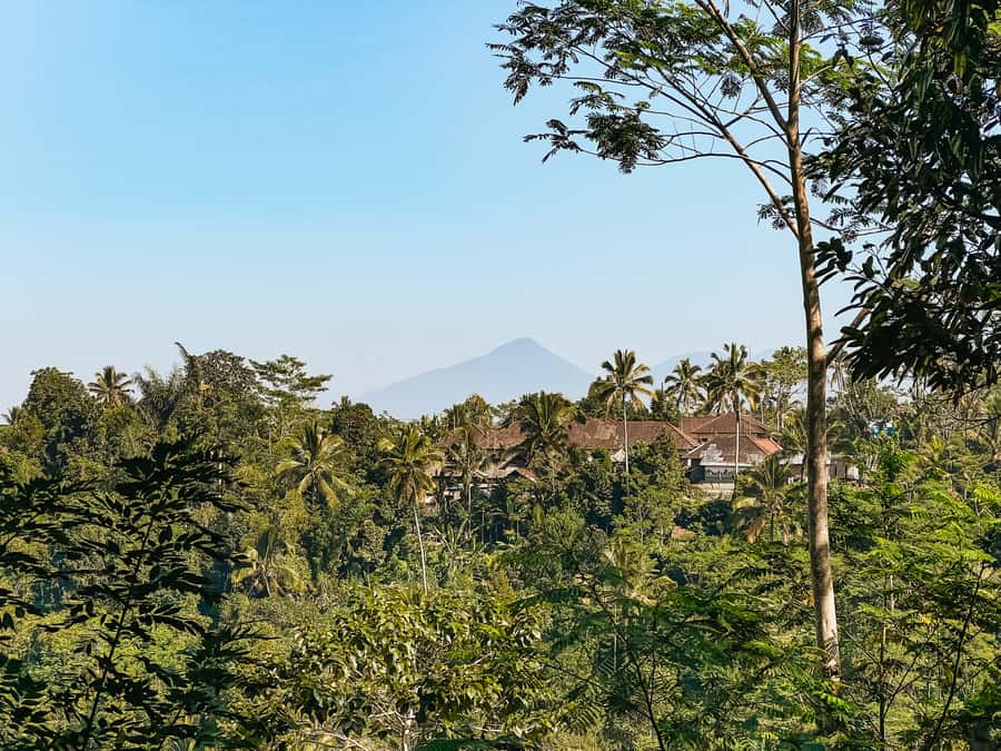 From Ubud: Downhill Bike Tour with Rice Terraces and Meal - What Makes the Guides So Important
