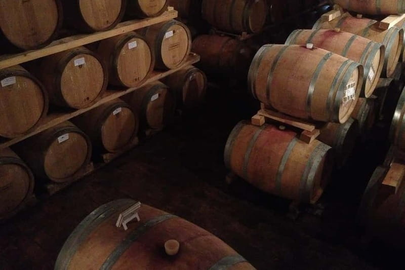 From Verona: Amarone Wine E-Bike Tour with Tasting - The Valpolicella hills between Verona and Lake Garda