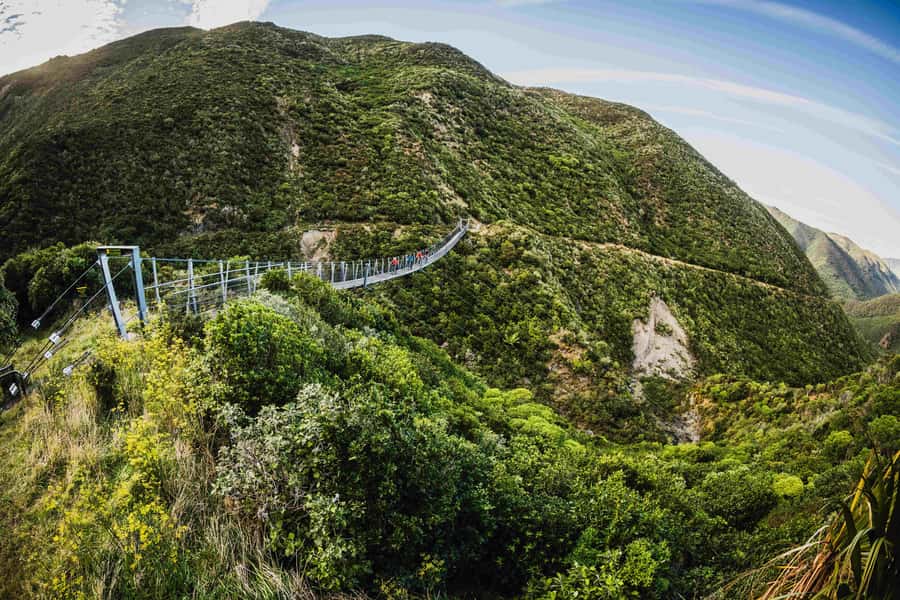 From Wellington: Remutaka Rail Trail eBike Tour - Key Things To Know Before You Book