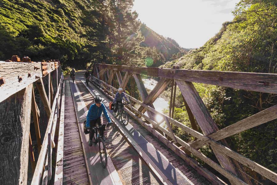 From Wellington: Remutaka Rail Trail eBike Tour - The Descent To Cross Creek