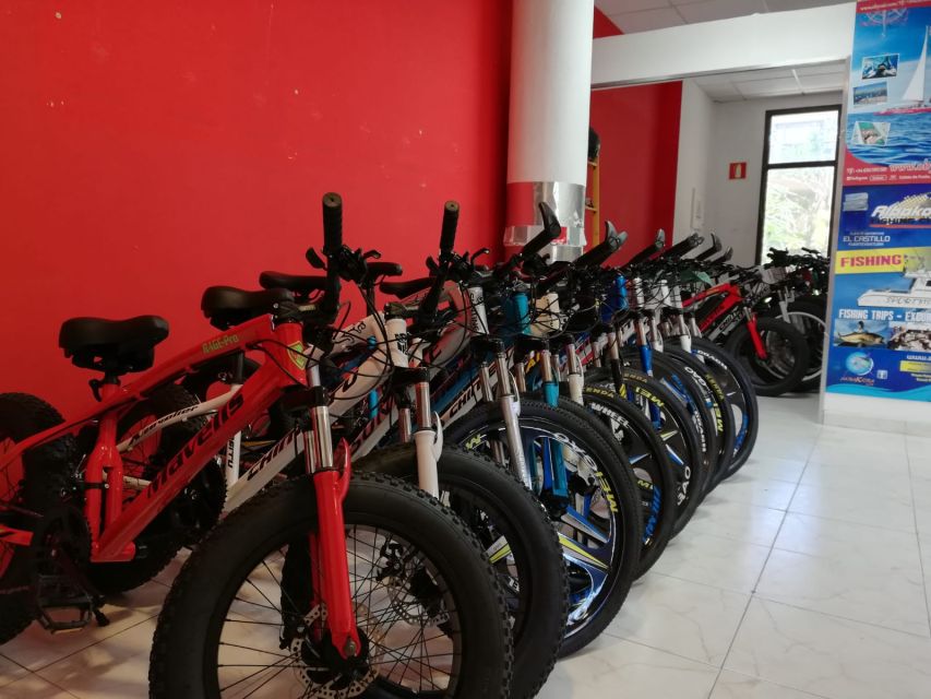 Fuerteventura: Explore the Area with a Bike Rental - Beach riding near Corralejo