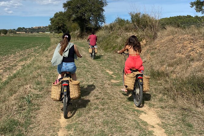 Full-Day Costa Brava and E-Bikes Guided Tour from Barcelona - Practical value at $98.42 per person