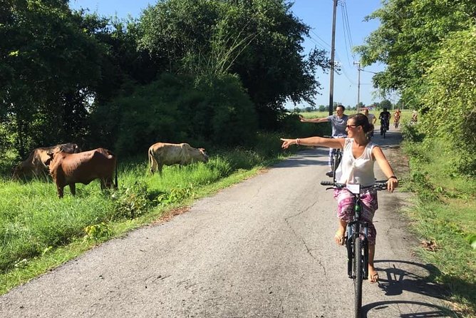 Full Day Cycling tour to Sukhothai Historical Park - Entering Sukhothai’s historic temple zone