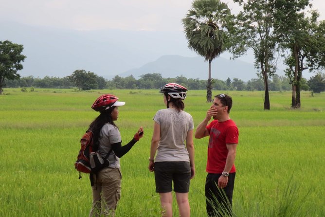 Full Day Cycling tour to Sukhothai Historical Park - Who should book this ride?