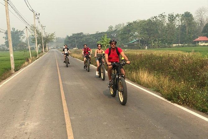 Full-day E-bike Countryside and Nam Phrae (flat-hilly, GUIDED) - Following the Ping River by e-bike