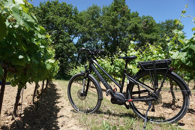 Full day E-Bike rental in the Luberon - Getting fitted with the Sun-E-Bike equipment