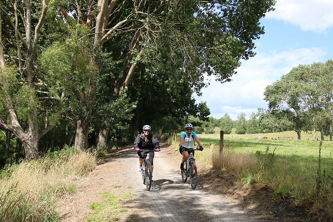 Full Day Ebike Tour in Karangahake Gorge (ex Auckland) - Why Karangahake Gorge makes a strong cycling day