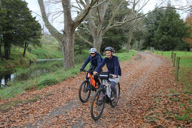 Full Day Ebike Tour in Karangahake Gorge (ex Auckland) - Waikino: gold processing and lunch by the river