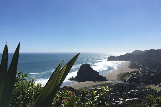 Full Day Ebike Tour in Karangahake Gorge (ex Auckland) - Paeroa and the final taste of the Waikato