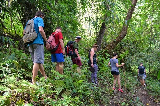 Full-Day Hike and Bike Tour from Chiang Mai - Key points before you book