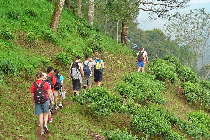 Full-Day Hike and Bike Tour from Chiang Mai - Leaving Chiang Mai for Mae Sa Valley