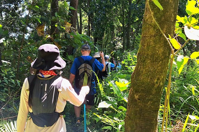Full-Day Hike and Bike Tour from Chiang Mai - Cycling through the rural Mae Sa Valley
