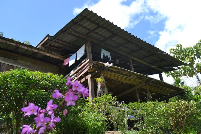 Full-Day Hike and Bike Tour from Chiang Mai - Guides who shape the day