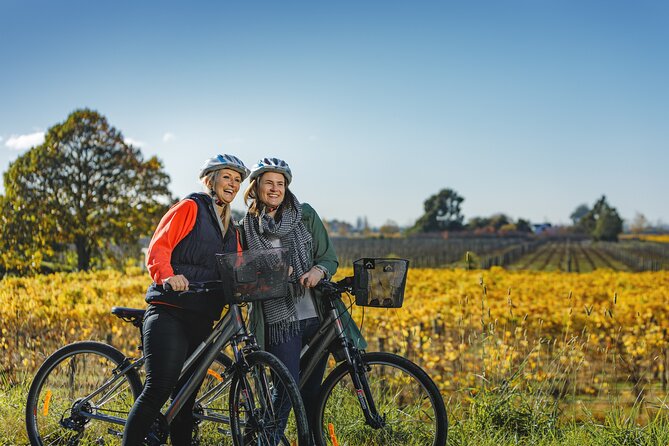 Full-Day Marlborough Wine Region Bike Hire - Key points to know before you ride