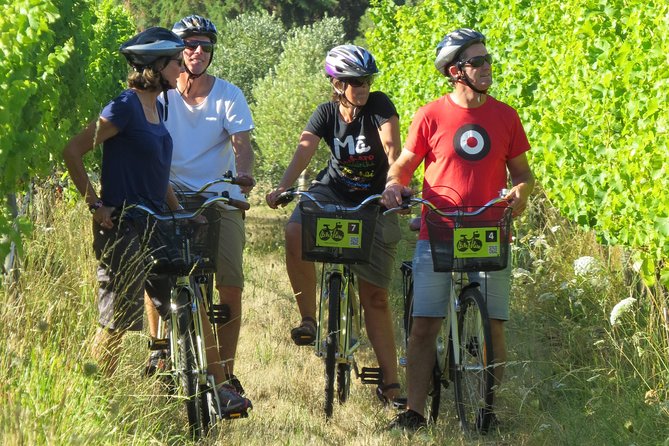 Full-Day Marlborough Wine Region Bike Hire - Why cycling works so well in Marlborough