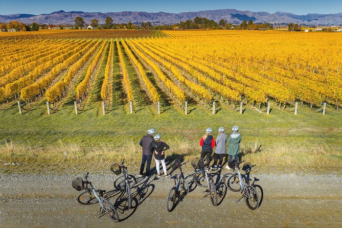 Full-Day Marlborough Wine Region Bike Hire - The $43 price and what it does not cover