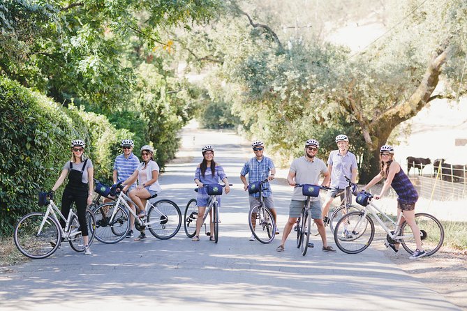 Full-Day Napa Winery E-Bike Tour (with Picnic Lunch) - Starting in Yountville at 9:30 a.m.