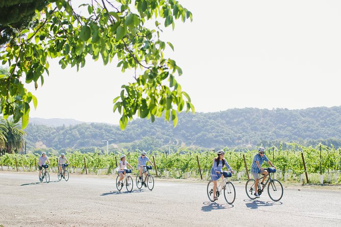 Full-Day Napa Winery E-Bike Tour (with Picnic Lunch) - Bouchon Bakery picnic lunch after the second winery