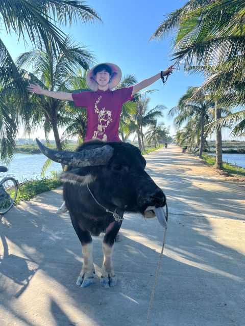 Funny day cycling, Buffalo riding and Basket boat - Key points to know before you book