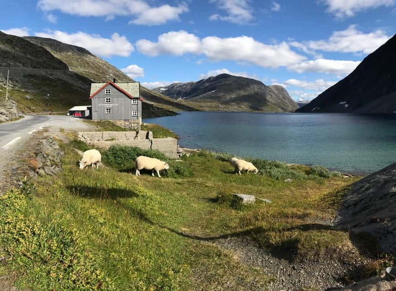 Geiranger Fjord: Downhill Self-Guided Bike Tour - Is $156 a fair price?