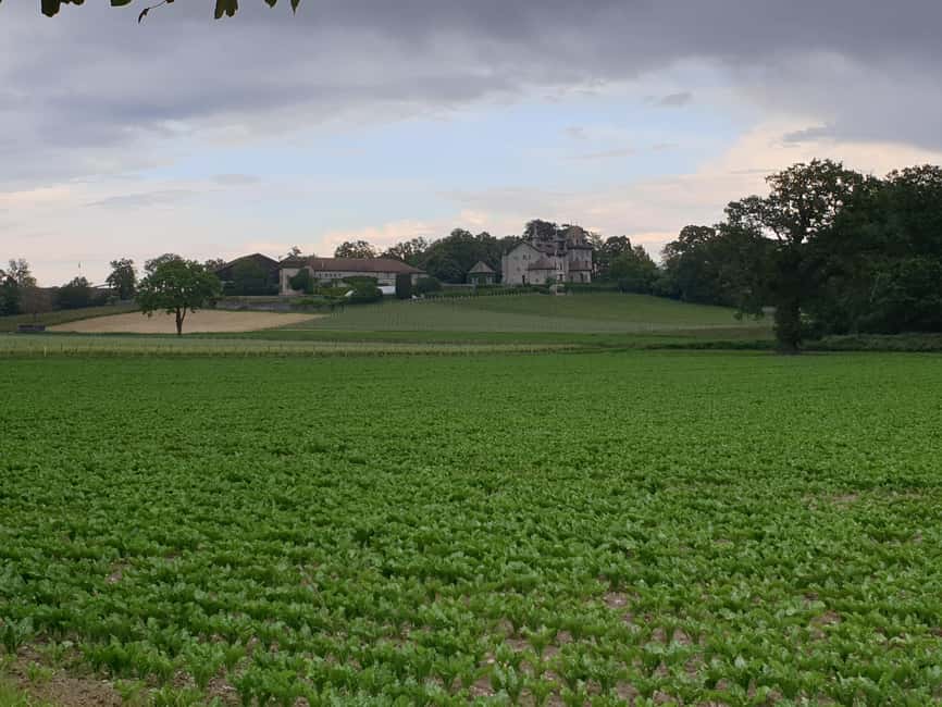 Geneva Countryside And Art Museum At A Castle Wine By E-Bike - Who will enjoy this outing most