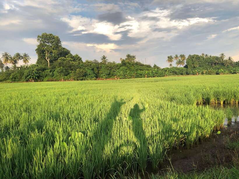 George Town: Balik Pulau Countryside Morning Cycling Tour - What the two-hour ride is really like