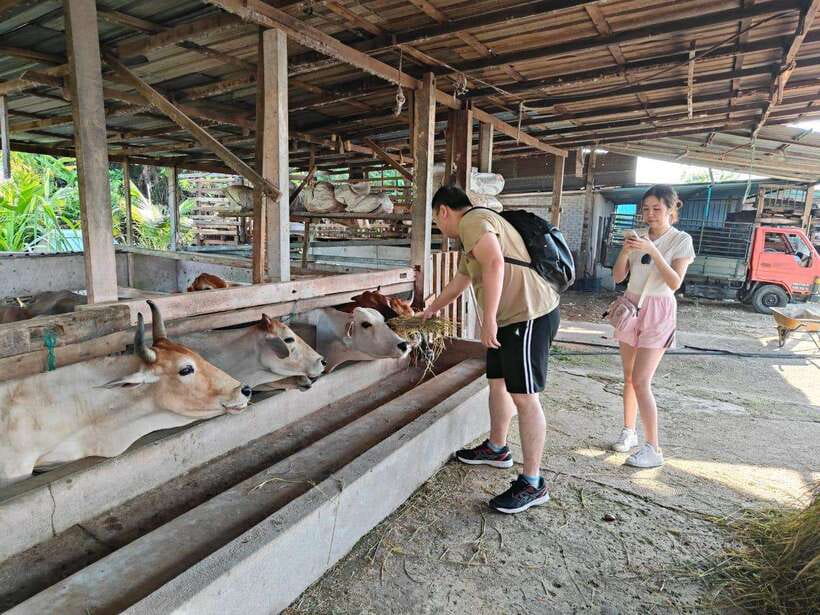 George Town: Balik Pulau Countryside Morning Cycling Tour - Tea, banana cake, and a needed rest