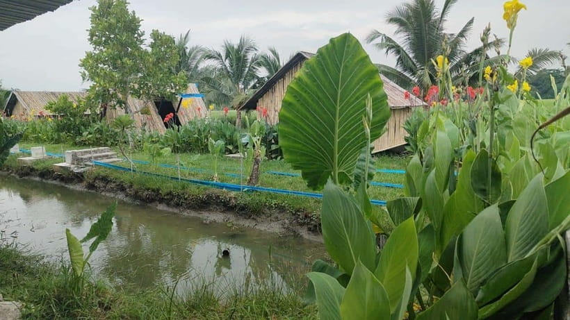 George Town: Balik Pulau Countryside Morning Cycling Tour - The 40-foot container art photo stop